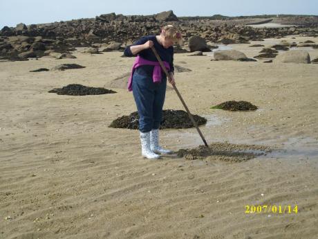 pêche à pied