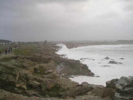 LPO sous la tempête (Copier)
